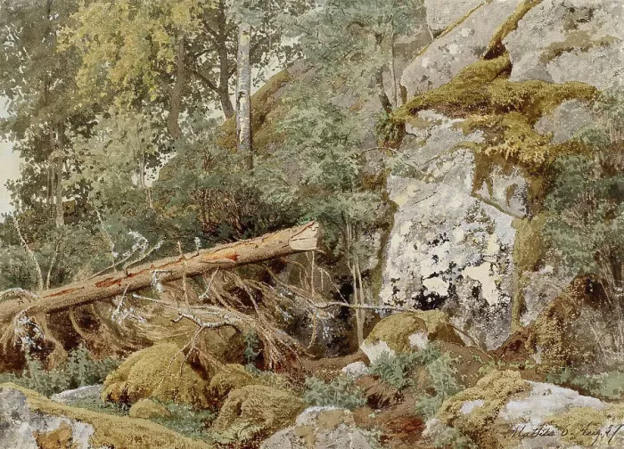 Framed Print : A mossy rock in the forest, 1857. Creator: Werner Holmberg Framed Print : A mossy rock in the forest, 1857. Creator: Werner Holmberg