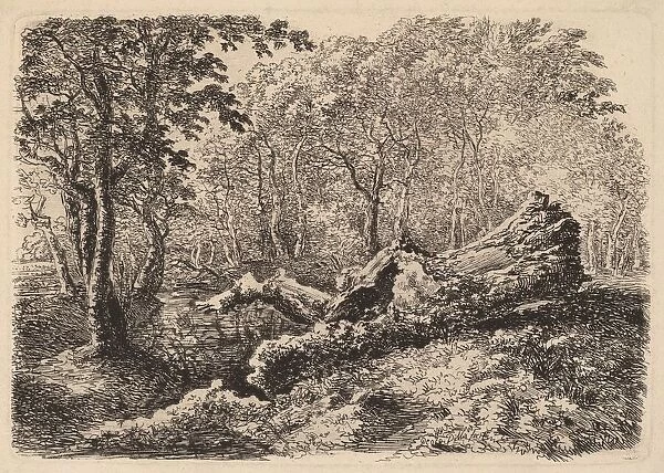 Mouldering Tree Trunk, 1794. Creator: Johann Georg von Dillis