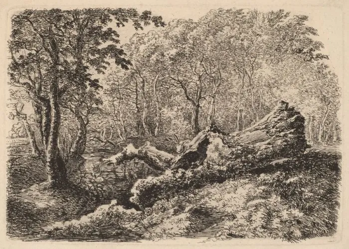 Framed Print : Mouldering Tree Trunk, 1794. Creator: Johann Georg von Dillis