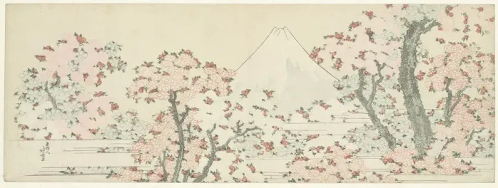 Framed Print : The Mount Fuji with Cherry Trees in Bloom. Artist: Hokusai, Katsushika (1760-1849) Framed Print : The Mount Fuji with Cherry Trees in Bloom. Artist: Hokusai, Katsushika (1760-1849)