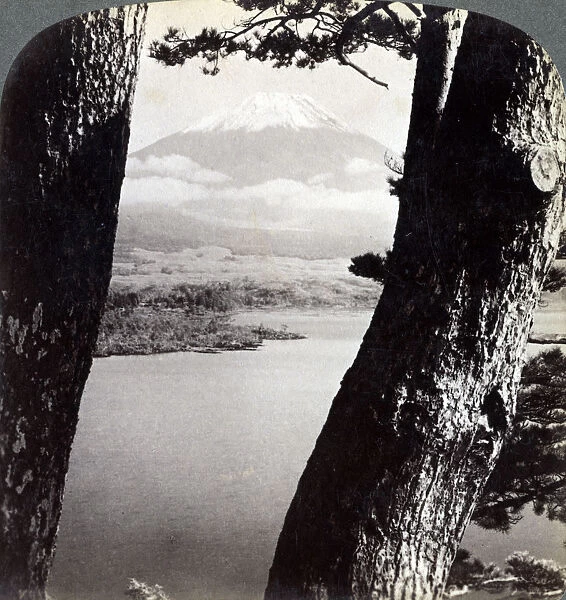 Mount Fuji, seen from the northwest, through pines at Lake Motosu, Japan, 1904. Artist: Underwood & Underwood