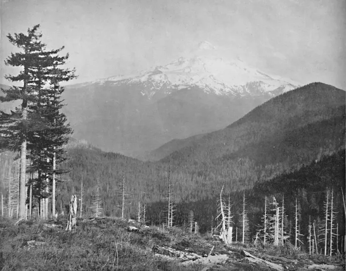Framed Print : Mount Hood, Oregon, c1897. Creator: Unknown Framed Print : Mount Hood, Oregon, c1897. Creator: Unknown