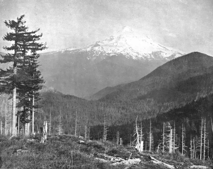 Framed Print : Mount Hood, Oregon, USA, c1900. Creator: Unknown Framed Print : Mount Hood, Oregon, USA, c1900. Creator: Unknown