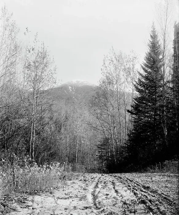 Framed Print : Mount Pleasant from base road, White Mountains, ca 1900. Creator: Unknown Framed Print : Mount Pleasant from base road, White Mountains, ca 1900. Creator: Unknown