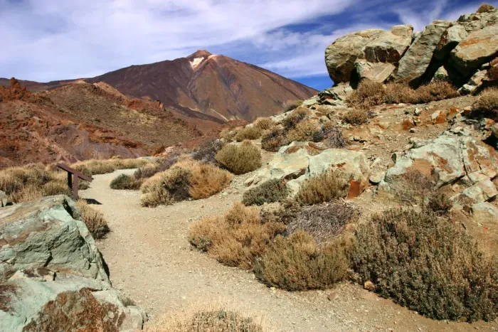 Framed Print : Mount Teide, Parque Nacional del Teide, Tenerife, Canary Islands, 2007 Framed Print : Mount Teide, Parque Nacional del Teide, Tenerife, Canary Islands, 2007