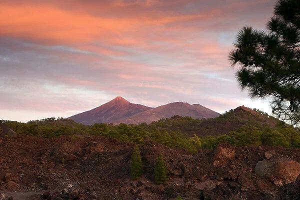 Mount Teide, volcano on Tenerife, Canary Islands, 2007