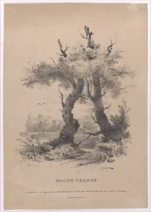 Framed Print : Mount Vernon with hidden silhouette of George Washington, 1832. Creator: Henry Inman Framed Print : Mount Vernon with hidden silhouette of George Washington, 1832. Creator: Henry Inman