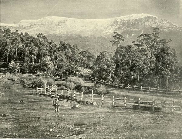 Mount Wellington, from the Huon Road, 1901. Creator: Unknown