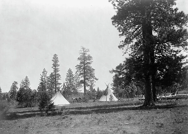 A mountain camp-Yakima, c1910. Creator: Edward Sheriff Curtis