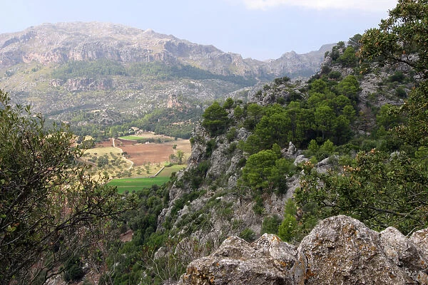 Mountain scenery near Lluc, Mallorca
