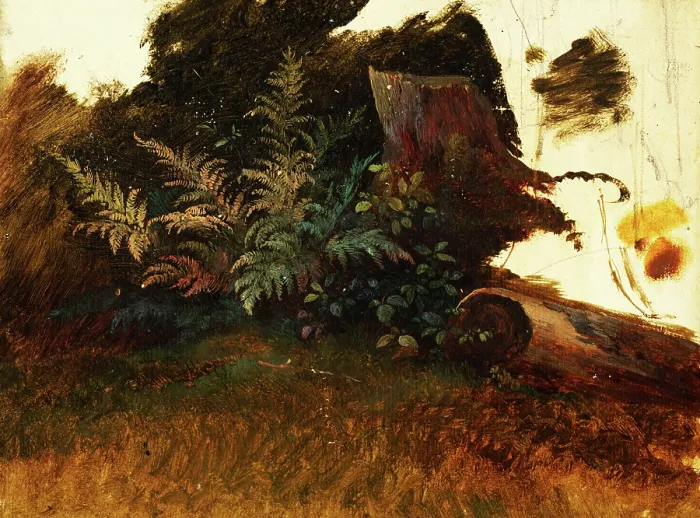 Framed Print : Mountain vegetation, 1860-1890. Creator: Friedrich Carl von Scheidlin