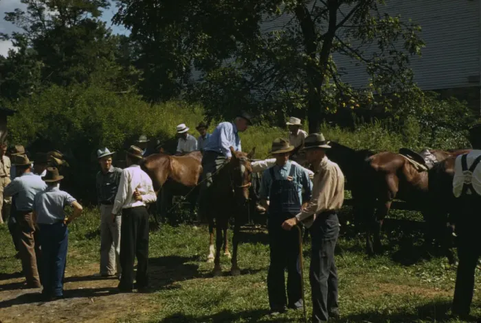 Framed Print : Mountaineers and farmers trading mules and horses on Jockey St. Campton, Wolfe County, Ky. 1940 Creator: Marion Post Wolcott Framed Print : Mountaineers and farmers trading mules and horses on Jockey St. Campton, Wolfe County, Ky. 1940 Creator: Marion Post Wolcott