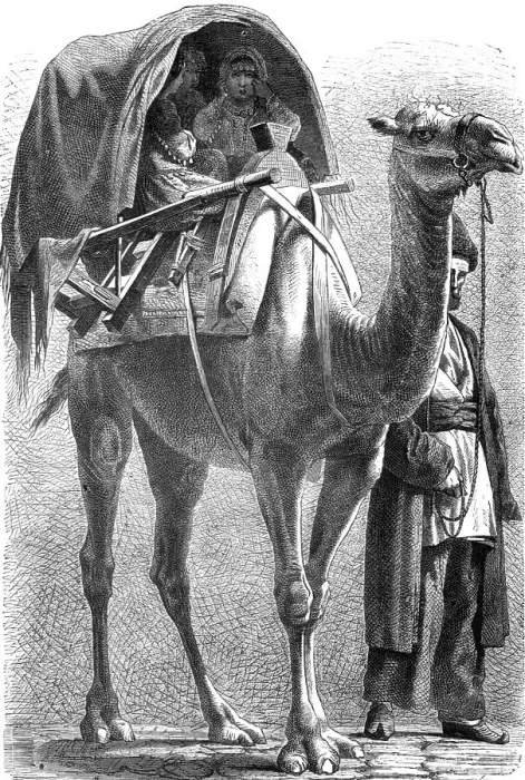 Framed Print : Mourners in a Funeral procession, Caucasus; The Caucasus, 1875. Creator: Unknown Framed Print : Mourners in a Funeral procession, Caucasus; The Caucasus, 1875. Creator: Unknown