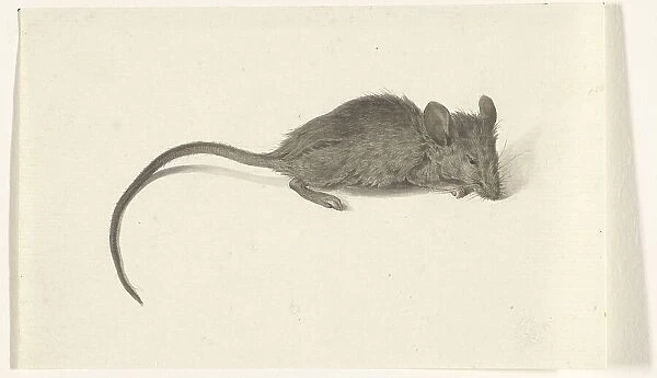 Mouse, to the right, 1775-1833. Creator: Jean Bernard