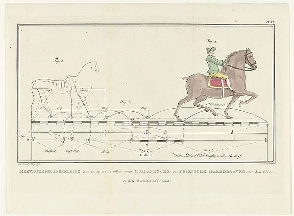 Movement of a horse from walking to trotting, with scale showing distances, 1739-1812. Creator: Johannes le Francq van Berkhey