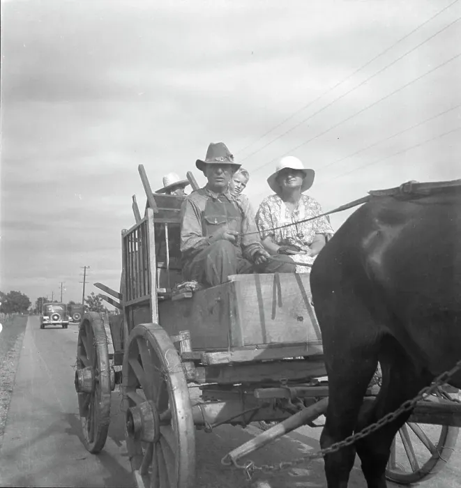 Framed Print : Moving day on the Delta cotton lands, Arkansas, 1936. Creator: Dorothea Lange Framed Print : Moving day on the Delta cotton lands, Arkansas, 1936. Creator: Dorothea Lange