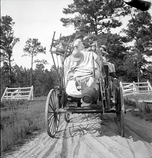 Moving day in the turpentine pine forest country, Northern Florida, 1936. Creator: Dorothea Lange
