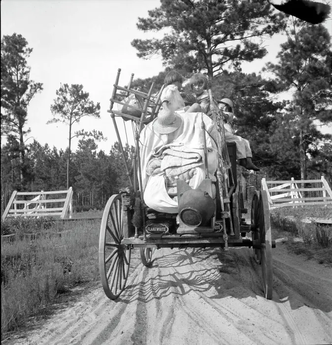 Framed Print : Moving day in the turpentine pine forest country, Northern Florida, 1936. Creator: Dorothea Lange Framed Print : Moving day in the turpentine pine forest country, Northern Florida, 1936. Creator: Dorothea Lange