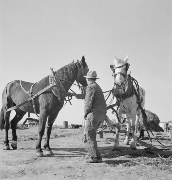 Framed Print : Mr. Browning prepares to go into the field to mow his hay, Dead Ox Flat, Oregon, 1939. Creator: Dorothea Lange Framed Print : Mr. Browning prepares to go into the field to mow his hay, Dead Ox Flat, Oregon, 1939. Creator: Dorothea Lange