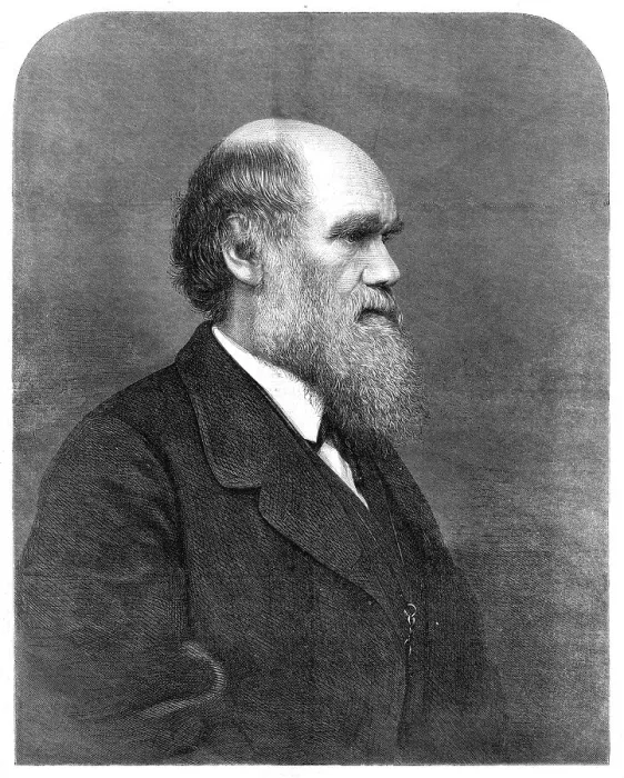 Framed Print : Mr. C. R. Darwin, author of The Origin of Species, 1871. Creator: Unknown Framed Print : Mr. C. R. Darwin, author of The Origin of Species, 1871. Creator: Unknown