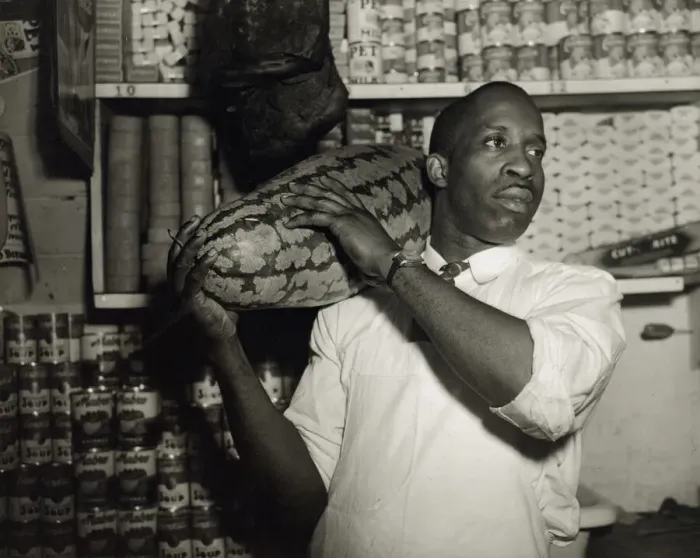 Framed Print : Mr. J. Benjamin, owner of the grocery store patronized by Mrs. Ella Watson... Washington, DC, 1942. Creator: Gordon Parks Framed Print : Mr. J. Benjamin, owner of the grocery store patronized by Mrs. Ella Watson... Washington, DC, 1942. Creator: Gordon Parks