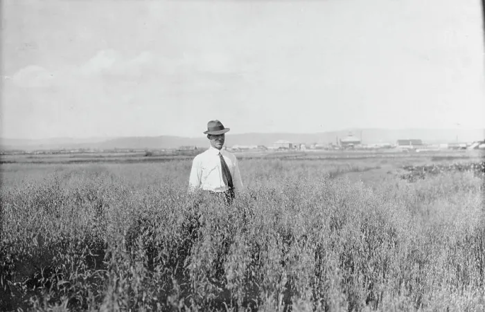 Framed Print : Mr. Rickert in grain field on his farm, between c1900 and 1916. Creator: Unknown Framed Print : Mr. Rickert in grain field on his farm, between c1900 and 1916. Creator: Unknown
