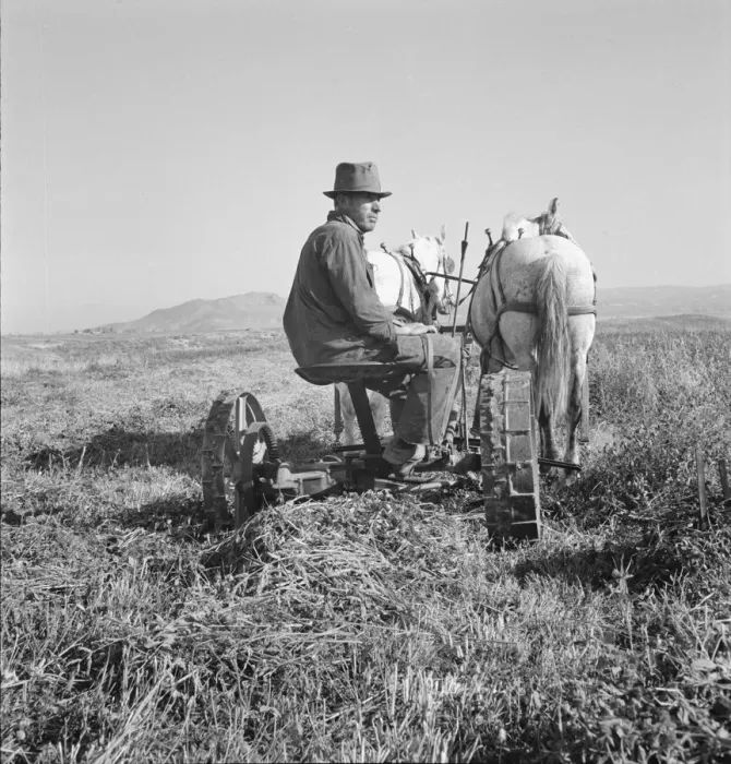 Framed Print : Mr. Roberts, FSA borrower, Owyhee project, Malheur County, Oregon, 1939. Creator: Dorothea Lange Framed Print : Mr. Roberts, FSA borrower, Owyhee project, Malheur County, Oregon, 1939. Creator: Dorothea Lange