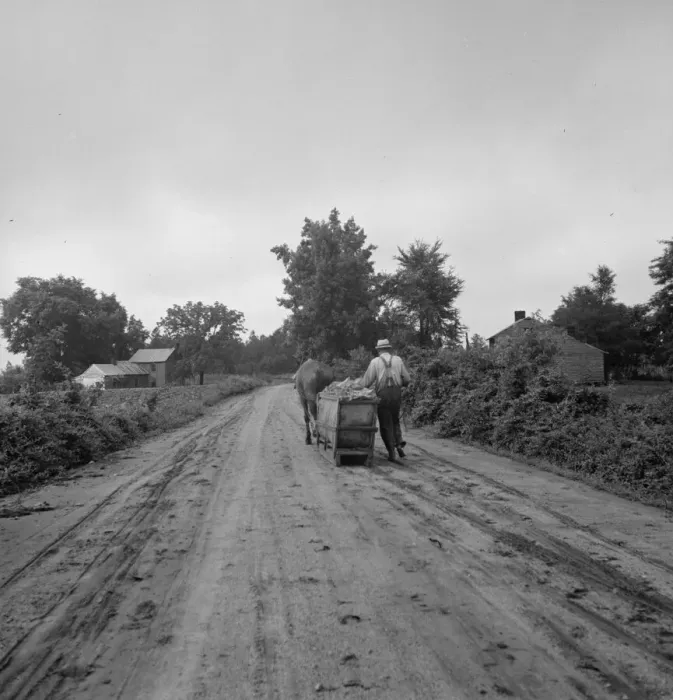 Framed Print : Mr. Taylor and wage laborer slide the tobacco to barn... Granville County, North Carolina, 1939. Creator: Dorothea Lange Framed Print : Mr. Taylor and wage laborer slide the tobacco to barn... Granville County, North Carolina, 1939. Creator: Dorothea Lange