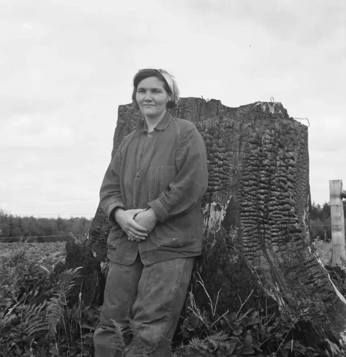 Framed Print : Mrs Arnold, age thirty two, does mans work on the rough... Michigan Hill, Thurston County, 1939. Creator: Dorothea Lange Framed Print : Mrs Arnold, age thirty two, does mans work on the rough... Michigan Hill, Thurston County, 1939. Creator: Dorothea Lange