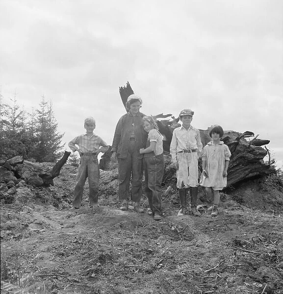 Mrs. Arnold and her children before the stump pile, Michigan Hill, Thurston County, Washington, 1939 Creator: Dorothea Lange