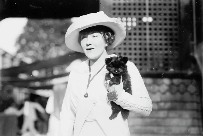 Framed Print : Mrs. Arthur Carrol and Pom Pom, between c1910 and c1915. Creator: Bain News Service Framed Print : Mrs. Arthur Carrol and Pom Pom, between c1910 and c1915. Creator: Bain News Service