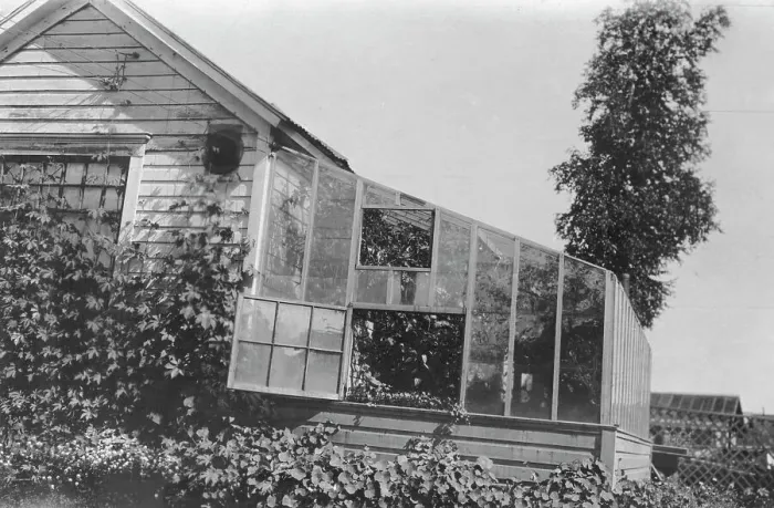 Framed Print : Mrs. Frank Clark's green house, between c1900 and 1916. Creator: Unknown Framed Print : Mrs. Frank Clark's green house, between c1900 and 1916. Creator: Unknown