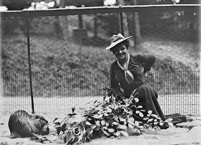 Framed Print : Mrs. Franklin Adams, nee Harriet Chalmers, at Zoo, 1912. Creator: Harris & Ewing. Mrs. Franklin Adams, nee Harriet Chalmers, at Zoo, 1912. Creator: Harris & Ewing Framed Print : Mrs. Franklin Adams, nee Harriet Chalmers, at Zoo, 1912. Creator: Harris & Ewing. Mrs. Franklin Adams, nee Harriet Chalmers, at Zoo, 1912. Creator: Harris & Ewing