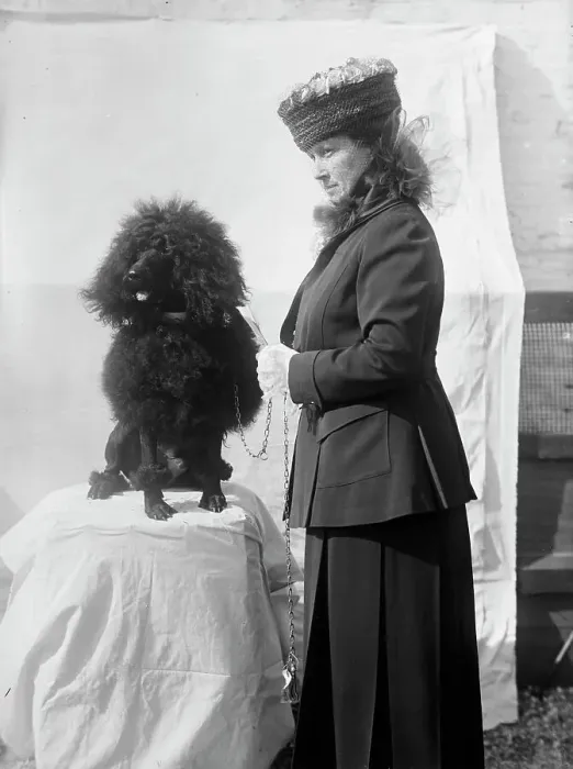 Framed Print : Mrs Goff - Dog Show, 1915. Creator: Harris & Ewing. Mrs Goff - Dog Show, 1915. Creator: Harris & Ewing Framed Print : Mrs Goff - Dog Show, 1915. Creator: Harris & Ewing. Mrs Goff - Dog Show, 1915. Creator: Harris & Ewing