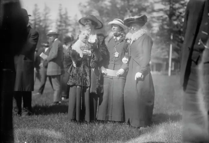 Framed Print : Mrs. H.K. Vingut -- Mrs. Henry Bell -- Mrs. Gillmore, between c1910 and c1915. Creator: Bain News Service