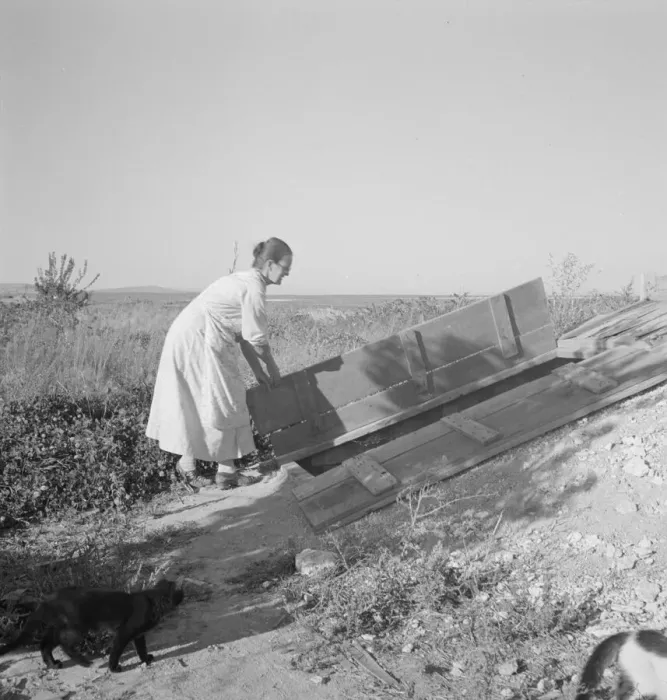 Framed Print : Mrs. Hull closing up the cellar which she has well-filled, Dead Ox Flat, Oregon, 1939. Creator: Dorothea Lange Framed Print : Mrs. Hull closing up the cellar which she has well-filled, Dead Ox Flat, Oregon, 1939. Creator: Dorothea Lange