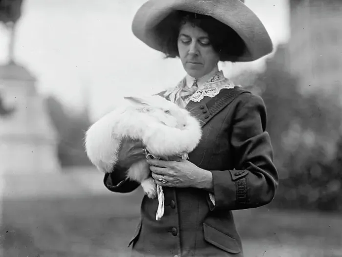 Framed Print : Mrs. J.R. Band with Pet Rabbit, 1911. Creator: Harris & Ewing. Mrs. J.R. Band with Pet Rabbit, 1911. Creator: Harris & Ewing Framed Print : Mrs. J.R. Band with Pet Rabbit, 1911. Creator: Harris & Ewing. Mrs. J.R. Band with Pet Rabbit, 1911. Creator: Harris & Ewing