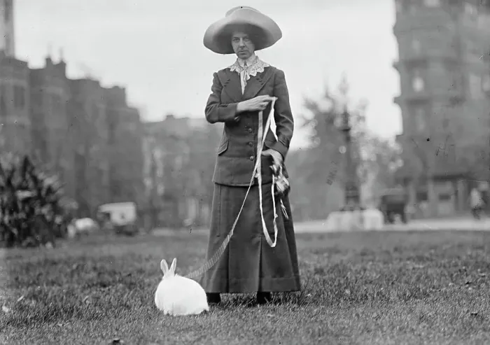 Framed Print : Mrs. J.R. Band with Pet Rabbit, 1911. Creator: Harris & Ewing. Mrs. J.R. Band with Pet Rabbit, 1911. Creator: Harris & Ewing Framed Print : Mrs. J.R. Band with Pet Rabbit, 1911. Creator: Harris & Ewing. Mrs. J.R. Band with Pet Rabbit, 1911. Creator: Harris & Ewing