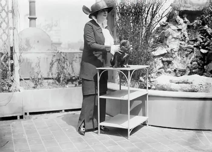 Framed Print : Mrs. Malcolm Strauss and pet, between c1910 and c1915. Creator: Bain News Service Framed Print : Mrs. Malcolm Strauss and pet, between c1910 and c1915. Creator: Bain News Service