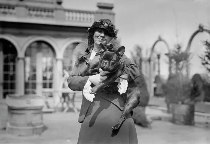 Framed Print : Mrs. Martha Haslam & Noisette, between c1910 and c1915. Creator: Bain News Service Framed Print : Mrs. Martha Haslam & Noisette, between c1910 and c1915. Creator: Bain News Service