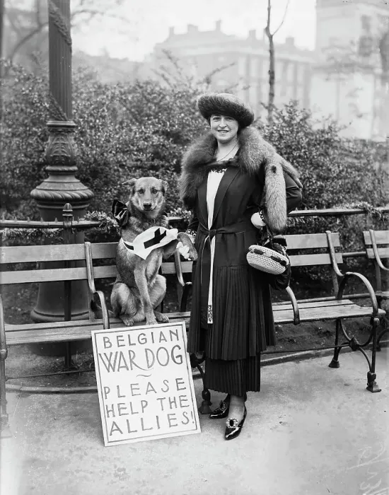 Framed Print : Mrs. N.E. Green & Caesar, between c1915 and 1918. Creator: Bain News Service. Mrs. N.E. Green & Caesar, between c1915 and 1918. Creator: Bain News Service Framed Print : Mrs. N.E. Green & Caesar, between c1915 and 1918. Creator: Bain News Service. Mrs. N.E. Green & Caesar, between c1915 and 1918. Creator: Bain News Service