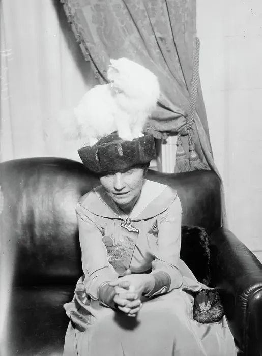 Framed Print : Mrs. R.F. Armstrong & Kilravock Donna-Mafalda [cat], between c1915 and c1920. Creator: Bain News Service