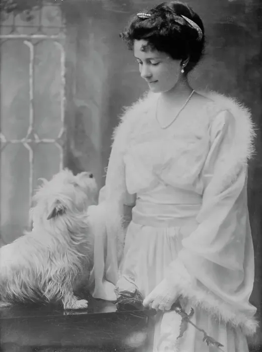 Framed Print : Mrs. Wm. Phillips, between c1910 and c1915. Creator: Bain News Service Framed Print : Mrs. Wm. Phillips, between c1910 and c1915. Creator: Bain News Service