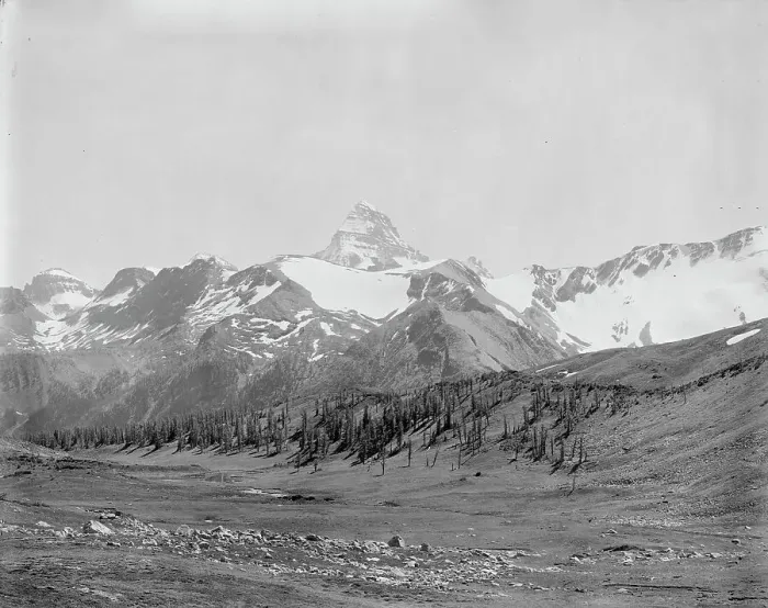 Framed Print : Mt. Assiniboine, Alberta, Canada, between 1900 and 1910. Creator: Unknown Framed Print : Mt. Assiniboine, Alberta, Canada, between 1900 and 1910. Creator: Unknown