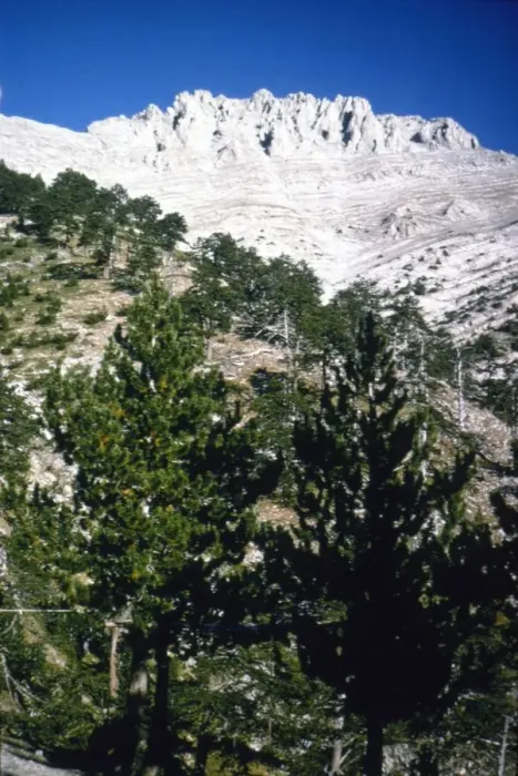 Framed Print : Mt Olympus, Greece, summit from the South, c20th century. Artist: CM Dixon Framed Print : Mt Olympus, Greece, summit from the South, c20th century. Artist: CM Dixon