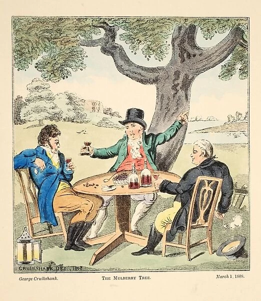 The Mulberry Tree, 1808