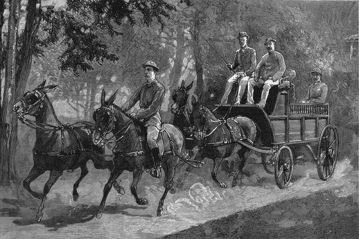 Framed Print : A Mule four-in-hand in Burma, 1886. Creator: Unknown Framed Print : A Mule four-in-hand in Burma, 1886. Creator: Unknown