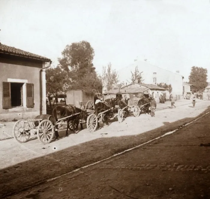 Framed Print : Mule wagons with supplies, Verdun, northern France, c1914-c1918 Framed Print : Mule wagons with supplies, Verdun, northern France, c1914-c1918