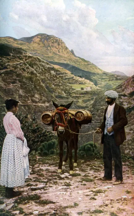Framed Print : Mule with water kegs, Sicily, Italy, c1923. Artist: AW Cutler Framed Print : Mule with water kegs, Sicily, Italy, c1923. Artist: AW Cutler