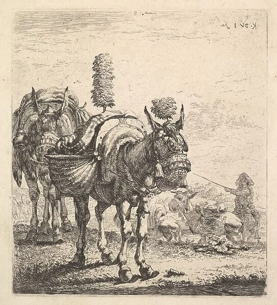 Two mules bearing panniers and outfitted with blinders, plumes, and tassels; one mu